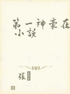 第一神豪在都市 小说