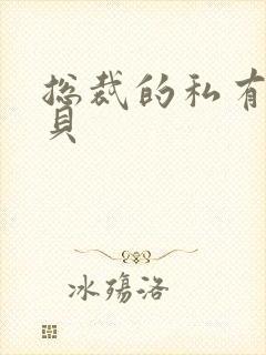 总裁的私有小宝贝