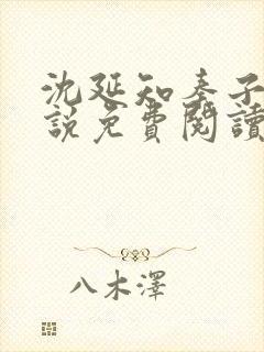 沈延知秦子卿小说免费阅读