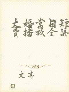 大婚当日短剧免费播放全集