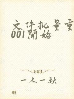 文件批量重命名001开始