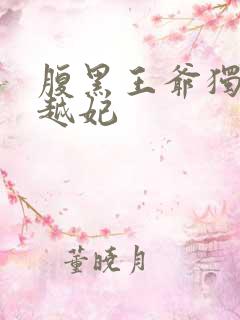 腹黑王爷独宠穿越妃