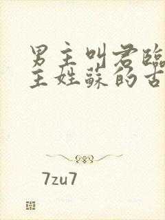 男主叫君临渊女主姓苏的古言小说