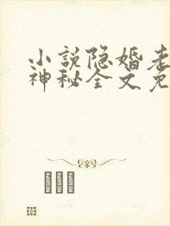 小说隐婚老公太神秘全文免费阅读