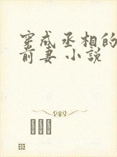 穿成丞相的炮灰前妻 小说