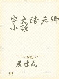 宇文皓元卿凌的小说
