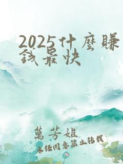 2025什么赚钱最快