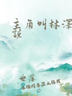 主角叫林泽的小说