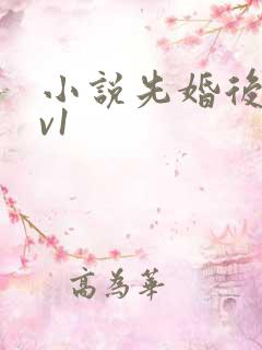 小说先婚后爱1v1