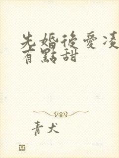 先婚后爱凌总追有点甜