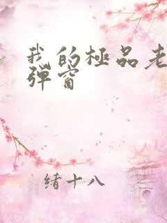 我的极品老婆无弹窗