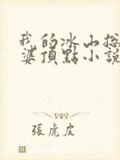 我的冰山总裁老婆顶点小说