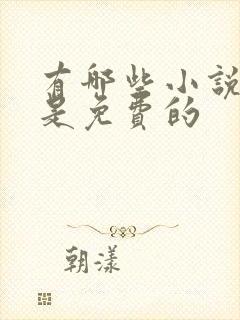 有哪些小说网站是免费的