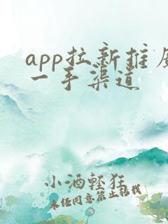 app拉新推广一手渠道