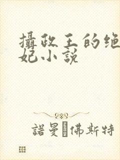 摄政王的绝世丹妃小说