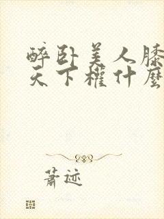 醉卧美人膝醒掌天下权什么意思