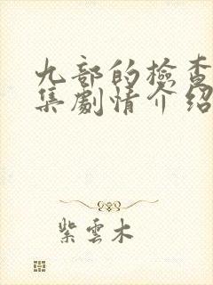 九部的检查官分集剧情介绍