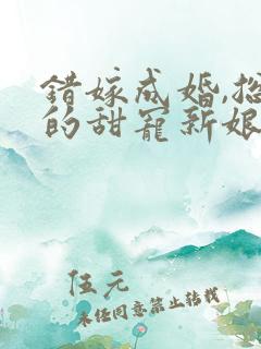 错嫁成婚,总裁的甜宠新娘