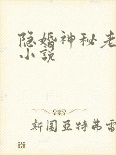隐婚神秘老公 小说