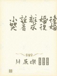 小说离婚后前夫哭着求复婚在线阅读