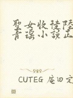 圣女收徒陆仁云青瑶小说正版阅读