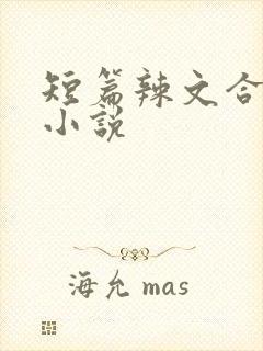短篇辣文合集h小说