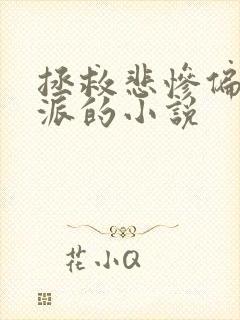 拯救悲惨偏执反派的小说