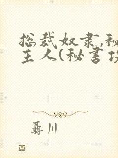 总裁奴隶,秘书主人(秘书攻x总裁受)