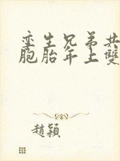 孪生兄弟共感双胞胎年上双男主小说