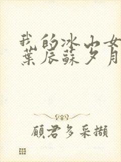 我的冰山女总裁叶辰苏夕月