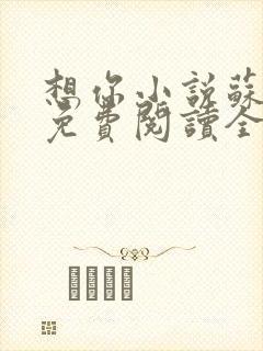 想你小说苏玛丽免费阅读全文无弹窗