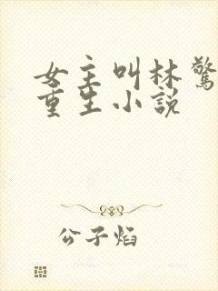 女主叫林惊澜的重生小说