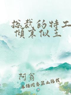 总裁的特工娇妻 倾寒似玉