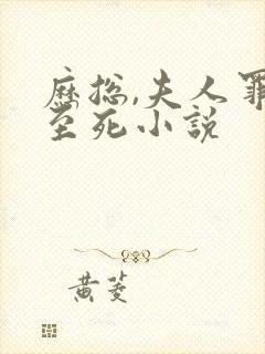 历总,夫人罪不至死小说