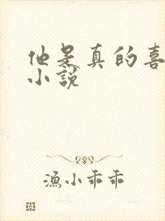 他是真的喜欢你小说