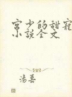 宫少的甜宠娇妻小说全文