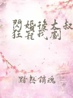 闪婚后大叔每天狂宠我剧