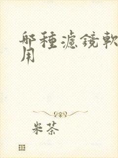 哪种滤镜软件好用