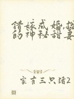 错嫁成婚,总裁的神秘甜妻