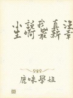 小说我真没想重生啊最新章节目录