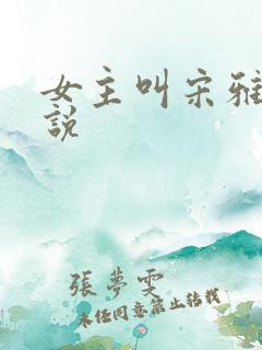 女主叫宋雅的小说