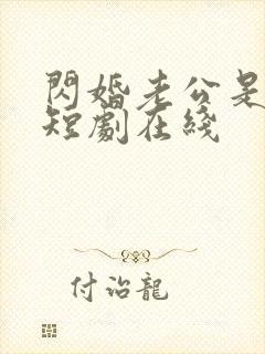 闪婚老公是豪门短剧在线