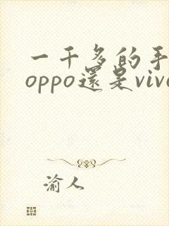 一千多的手机买oppo还是vivo