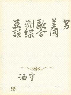 亚洲欧美另类小说综合网