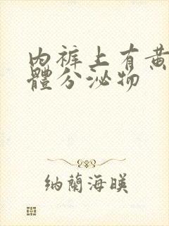 内裤上有黄色液体分泌物