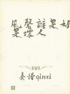 风声谁是好人谁是坏人