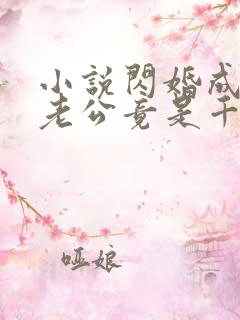 小说闪婚成宠,老公竟是千亿大佬