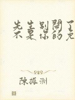 先生别闹了新娘不是你的免费观看大结局