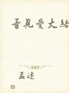 看见爱大结局