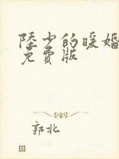 陆少的暖婚新妻免费版